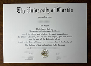 University of Florida diploma