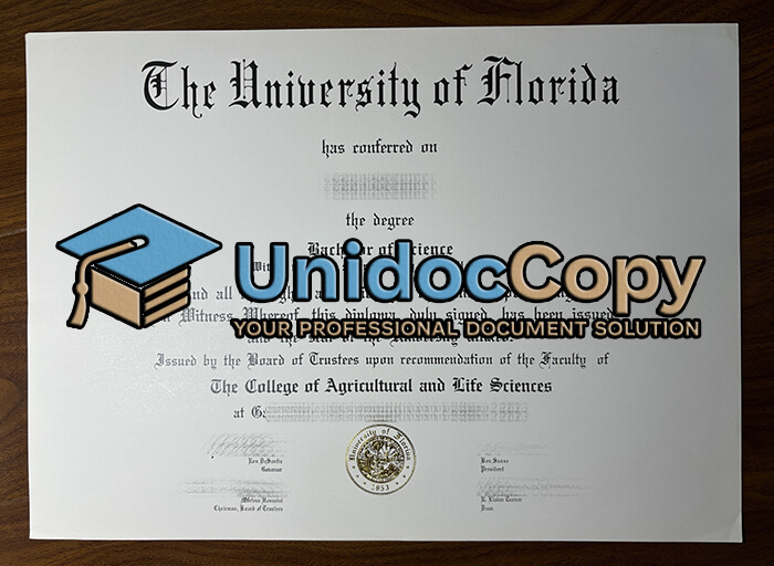 University of Florida diploma