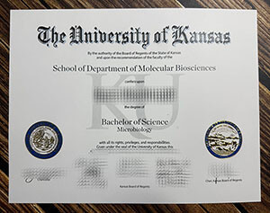 Purchase a University of Kansas diploma online