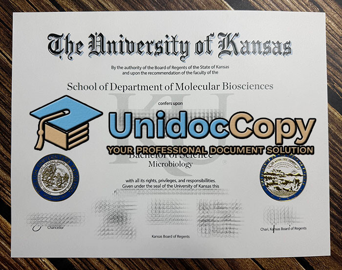 Replica University of Kansas diploma online