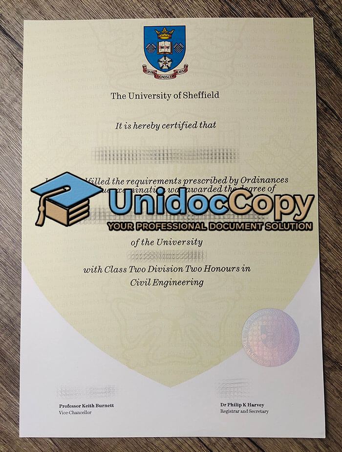University of Sheffield degree