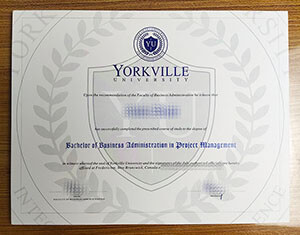 Yorkville University certificate