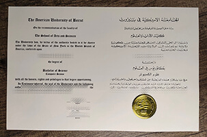 American University of Beirut degree