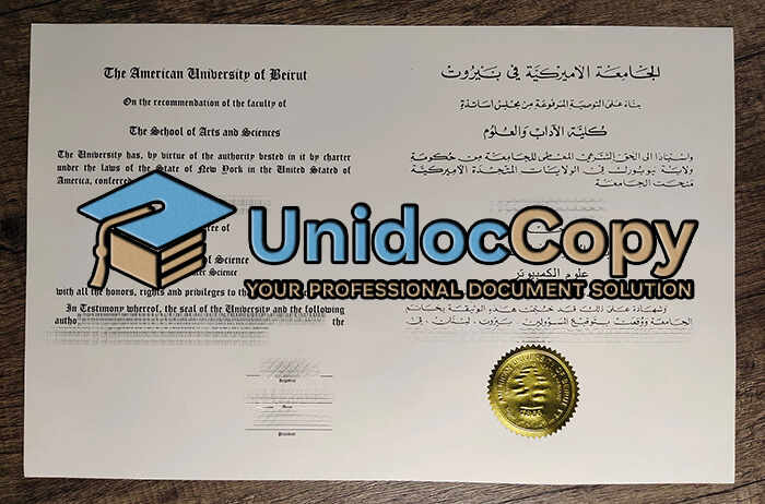 American University of Beirut degree