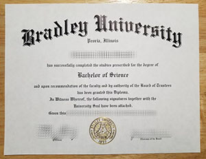 Bradley University degree