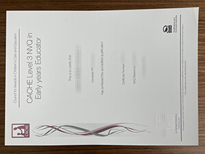 CACHE Level 3 NVQ diploma