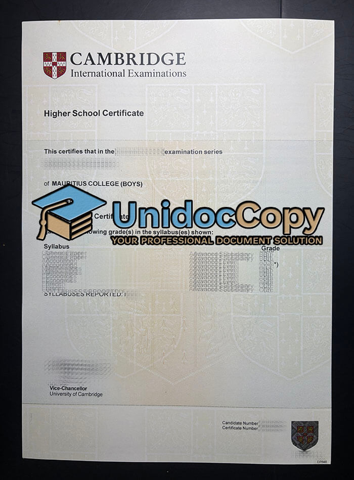 Replica a Cambridge Higher School Certificate online