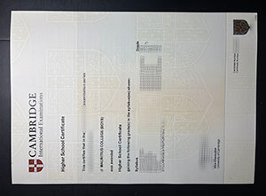 Get a Cambridge Higher School Certificate online
