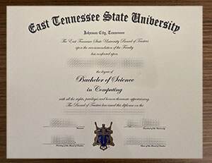 Eastern Tennessee State University degree