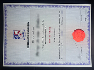 Mulungushi University certificate