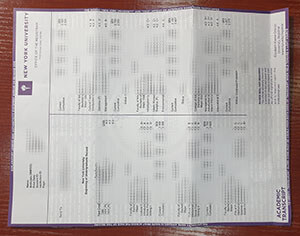 New York University transcript