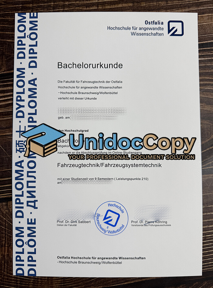 Ostfalia Hochschule für angewandte Wissenschaften Urkunde