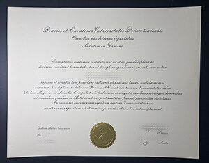 Get a Princeton University diploma online