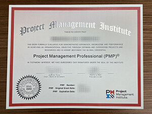 Project Management Professional certificate