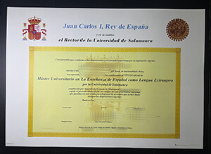 Rector de la Universidad de Salamanca diploma