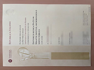 Sapienza Università di Roma degree