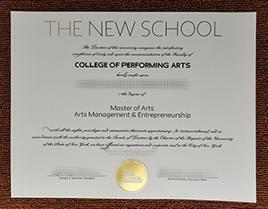 The New School degree