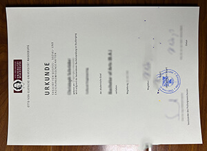 Universität Magdeburg diploma