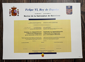 Universitat de Barcelona diploma