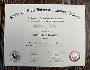 Replica a California State University Channel Islands diploma