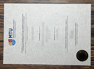 Munster Technological University diploma