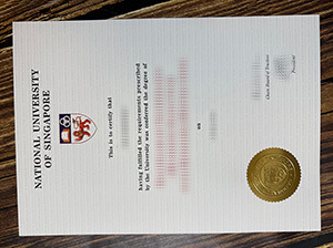 Replica a National University of Singapore diploma