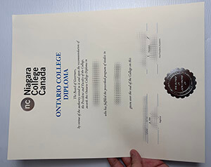 Niagara College certificate
