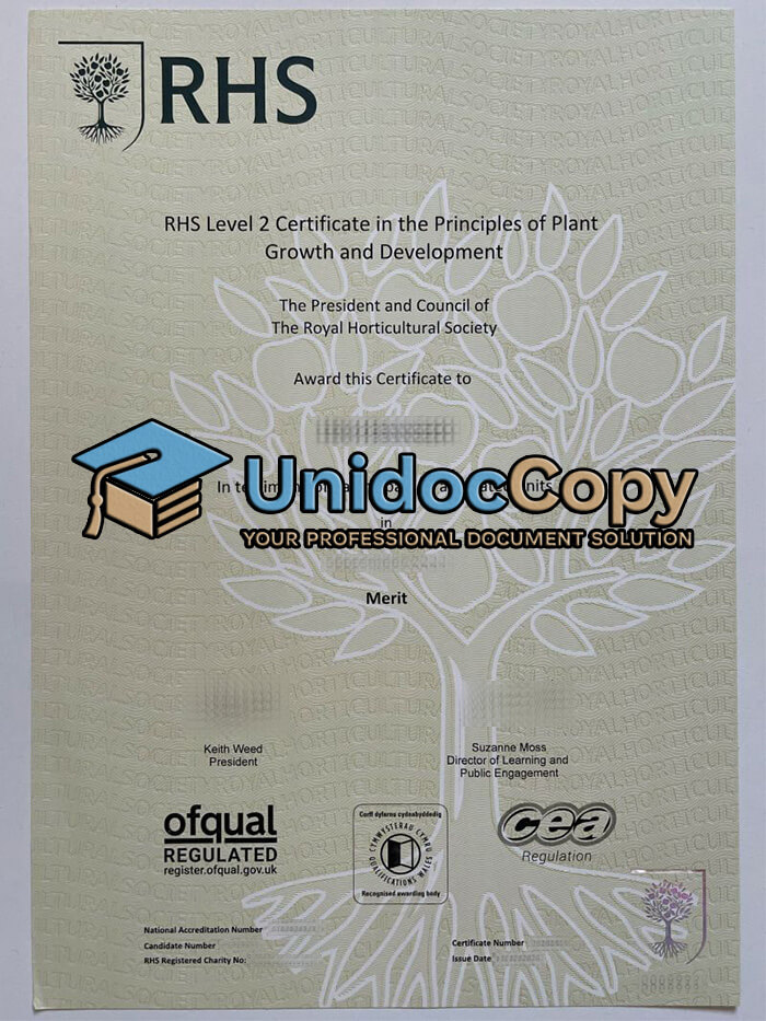 Replica a RHS Level 2 certificate online