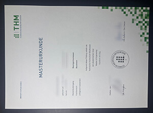 Technische Hochschule Mittelhessen degree