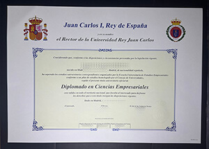 Universidad Rey Juan Carlos degree