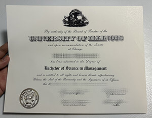 Novelty University of Illinois diploma online